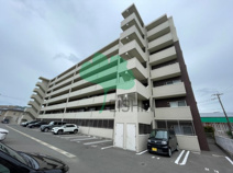 カラコレスⅤ(カラコレス5)の画像