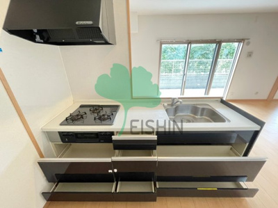  | カラコレスⅤ(カラコレス5)