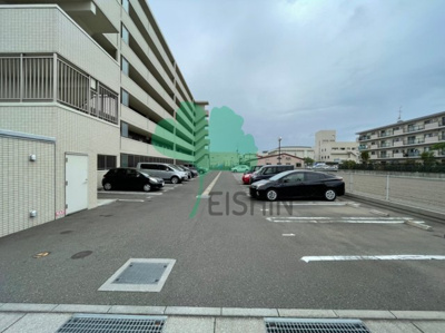  | カラコレスⅤ(カラコレス5)