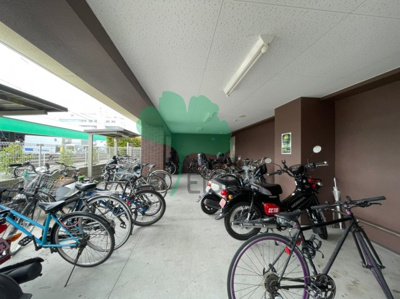  | カラコレスⅤ(カラコレス5)