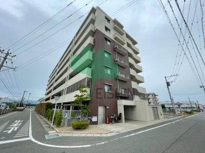  | カラコレスⅤ(カラコレス5)