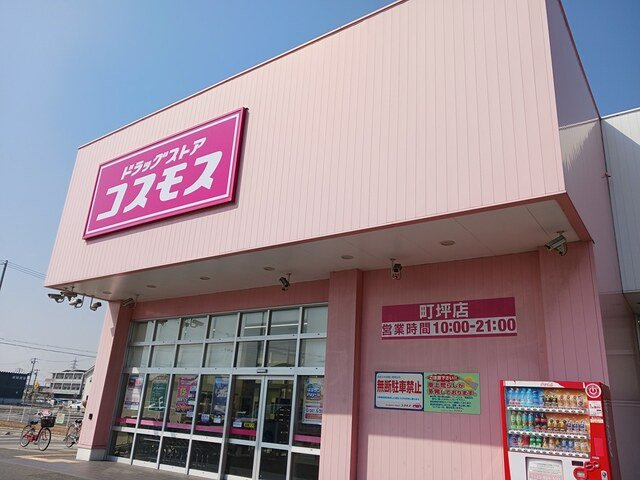 セントラル　フィールドの周辺|コスモスまで60m