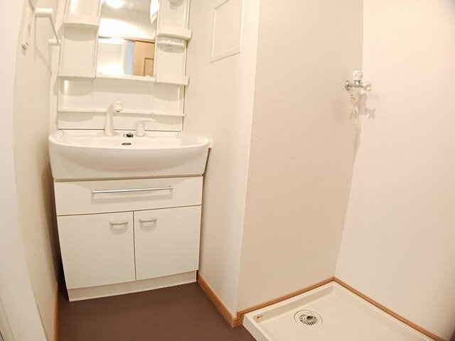 セントラル　フィールドの洗面所