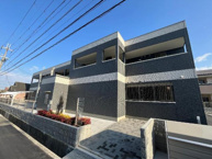 カンパニュールの画像