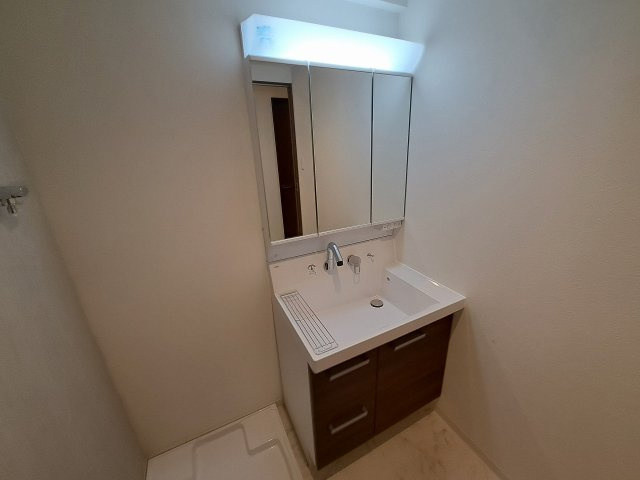 ＧＲＯＯＶＥ上甲子園レジデンスの洗面所