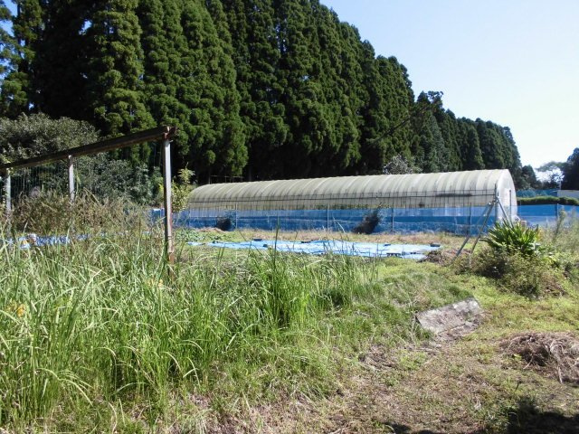 国富町大字深年のその他