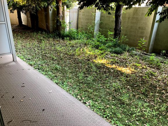 サウスウイングの庭