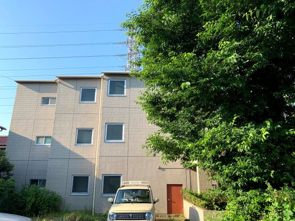 サウスウイングのその他