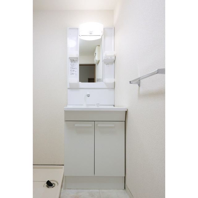 メゾンサステックの洗面所