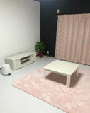 尼崎市武庫川町3丁目　中古戸建の画像