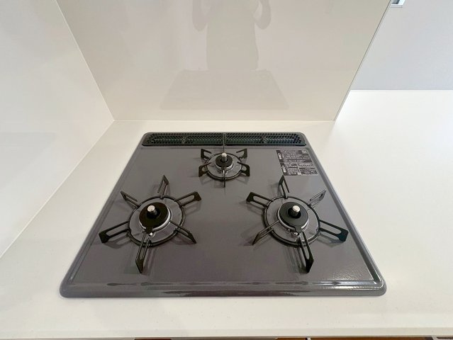 深草大亀谷万帖敷町１号地