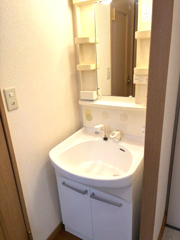 エスポワール出来島の洗面所