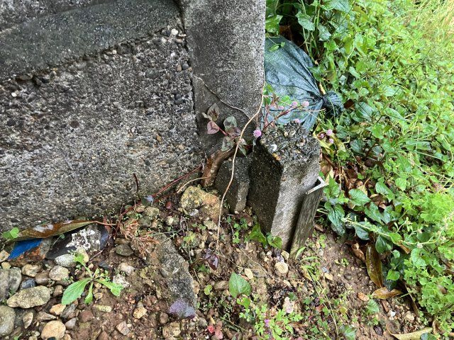 売地　豊橋市東小浜町の前面道路含む現地写真