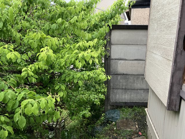 売地　豊橋市東小浜町の前面道路含む現地写真