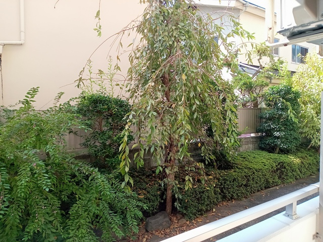 ロイヤルスコット都立大の展望