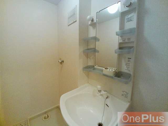 ローズコート芦屋の洗面所