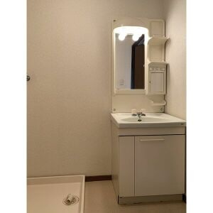 リンピア増田の洗面所