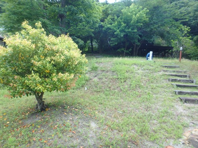 S1720H　吉佐美ログハウスの庭