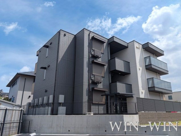 D-avance柱 Ⅱの外観