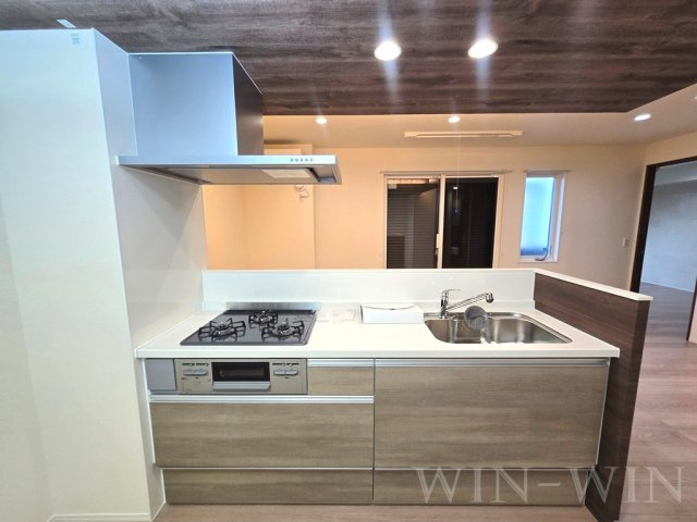 D-avance柱 Ⅱのキッチン