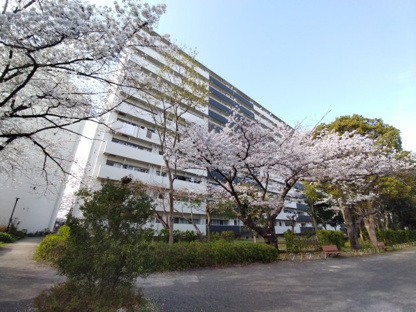 【外観】県ドリームハイツ１８号棟 