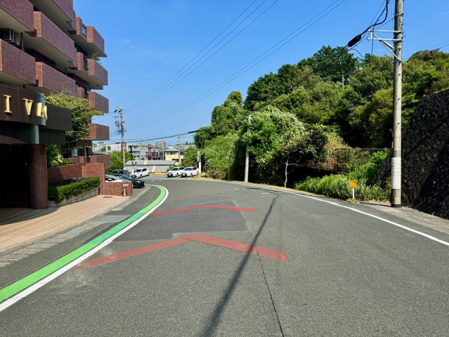 リヴァージュ高林のその他|前面道路を西側から東向きに撮影しました。