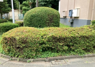 【庭】 | 鵜野森団地　F棟 | 物件によっては、入居者が個人的に使用できる専用庭がついているものもあります。また、住宅の中にある土間の部分を庭と呼ぶこともあります。庭の用途は住む人によって変わり、それによってデザインもさまざまです。