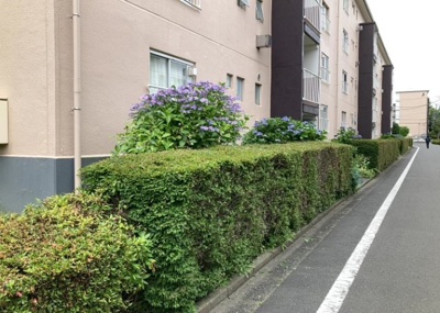 【中庭】 | 鵜野森団地　F棟 | 中庭（パティオ）とは、一つの建築物の内部に設けられた、壁などで囲われている庭のことを指します。コの字型、ロの字型が主流ですが、L字型の中庭もあります。最近では、インテリア性の高さからも人気があります。