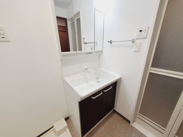 プレシャス小林の洗面所