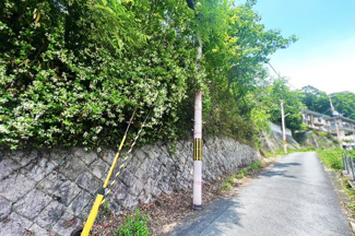 【前面道路含む現地写真】 | 東山区今熊野総山町　土地