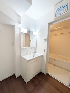 深草大亀谷万帖敷町　１号地の独立洗面台