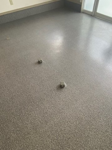 セザールフジイ事務所のその他