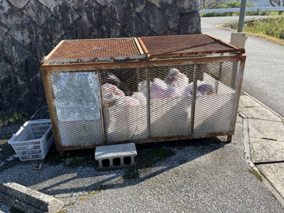 【その他共用部分】 | Excelハイツ壱番館