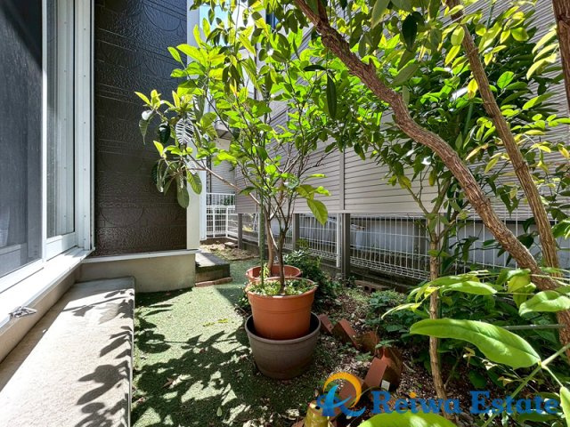 中古戸建　茅ヶ崎市室田3丁目の庭