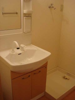 リバーサイドコスモスⅠの洗面所|洗面スペース