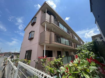 シャトレーシラハタの画像