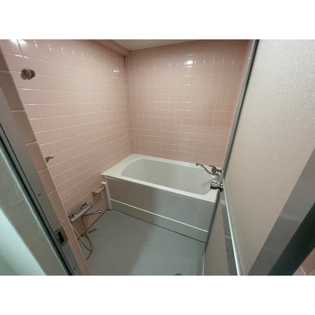 ロワール坂戸の浴室