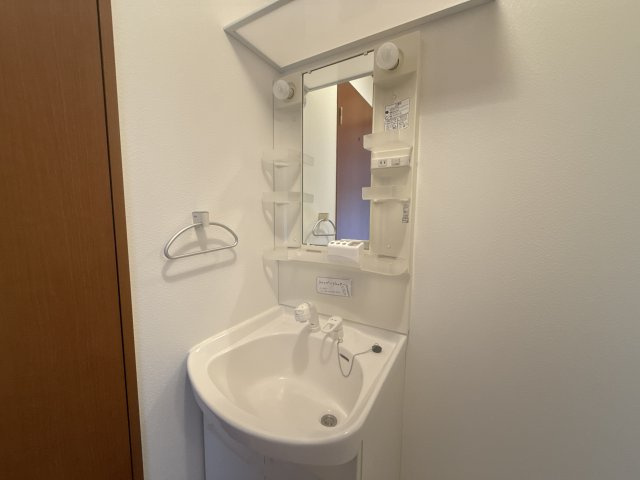 ウェルヴィラ C棟の洗面所