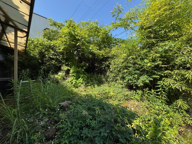 【庭】 | 和歌山県紀の川市深田　中古戸建 | ◆庭木を整えていただくと家庭菜園なども楽しんでいただけますよ♪