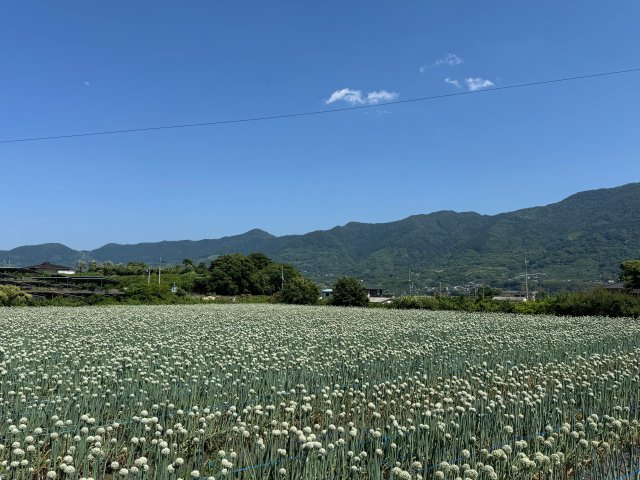 【その他】 | 和歌山県紀の川市深田　中古戸建 | ◆紀の川が近く釣り好きの方の別荘にもおすすめです!(^^)!