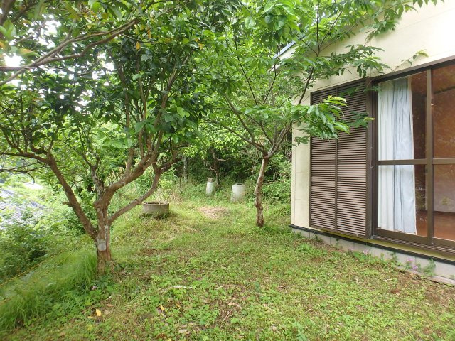 S1726H　落合中古住宅の庭