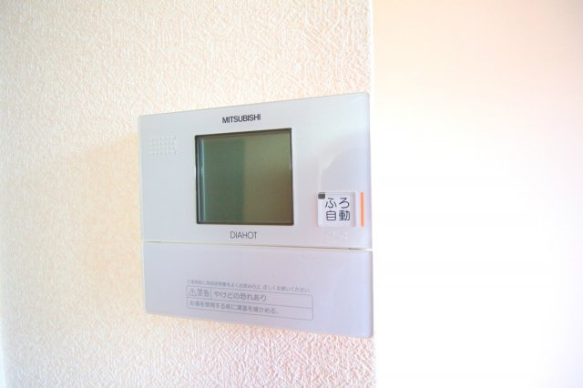 ヴァンドミール流田のセキュリティ