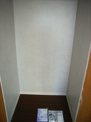 白山ハイデンスのその他