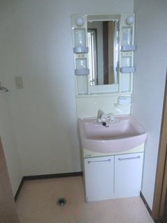 レジェンサンフラワーⅡの洗面所|洗面スペース