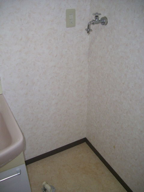 レジェンサンフラワーⅡのその他|洗濯機置場