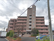 セルサス和泉の画像