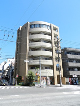 セトルオクサワの画像