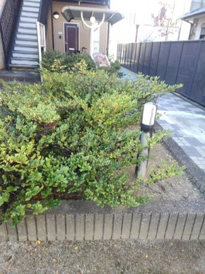 【その他】 | ポラリス弐番館