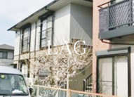 エスエイハイツの画像