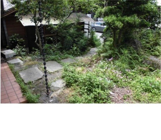 八代市萩原町1丁目戸建の庭